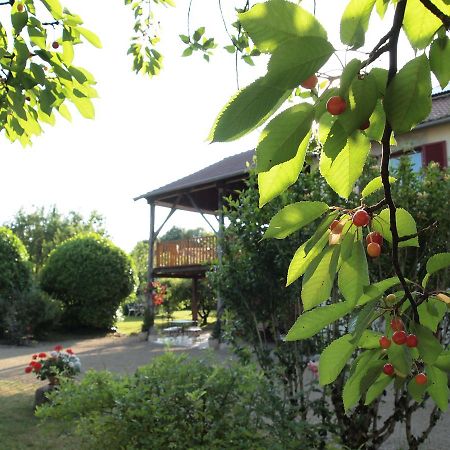 Les Jardins De Lily Hotel Saint-Léonard-de-Noblat Esterno foto