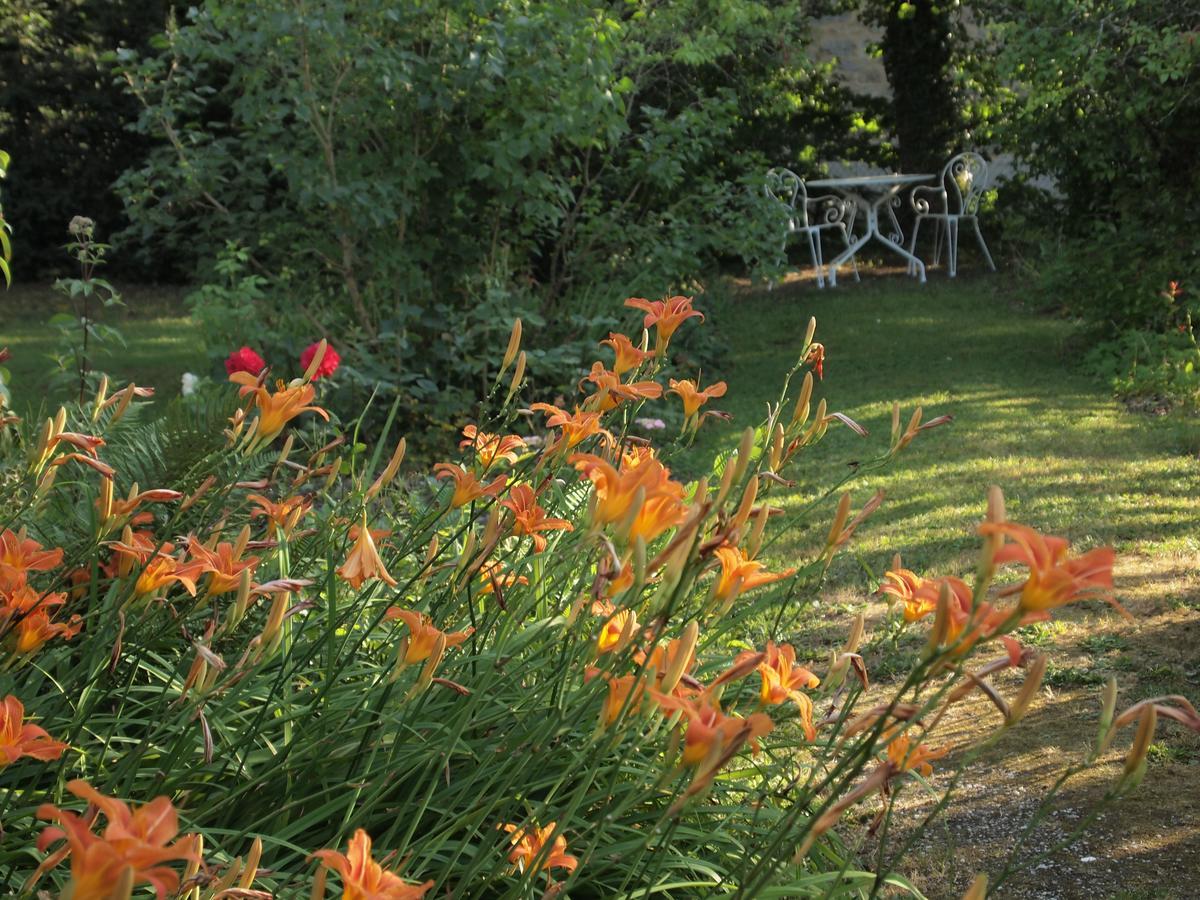 Les Jardins De Lily Hotel Saint-Léonard-de-Noblat Esterno foto