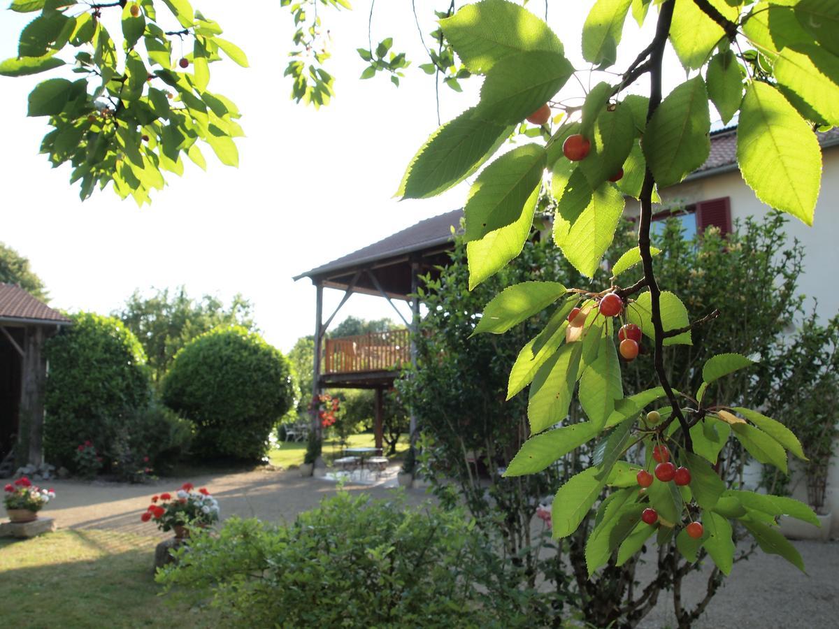 Les Jardins De Lily Hotel Saint-Léonard-de-Noblat Esterno foto