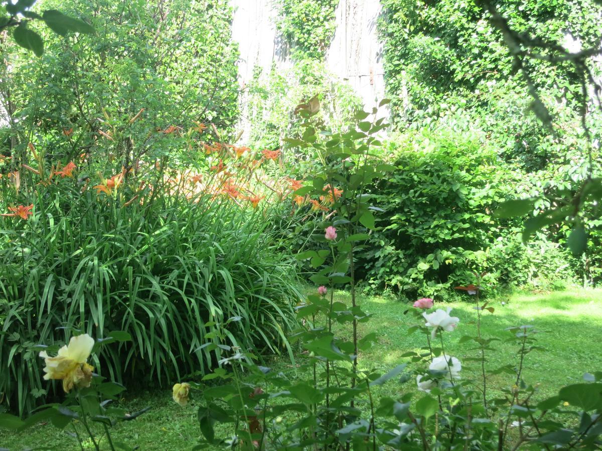 Les Jardins De Lily Hotel Saint-Léonard-de-Noblat Esterno foto