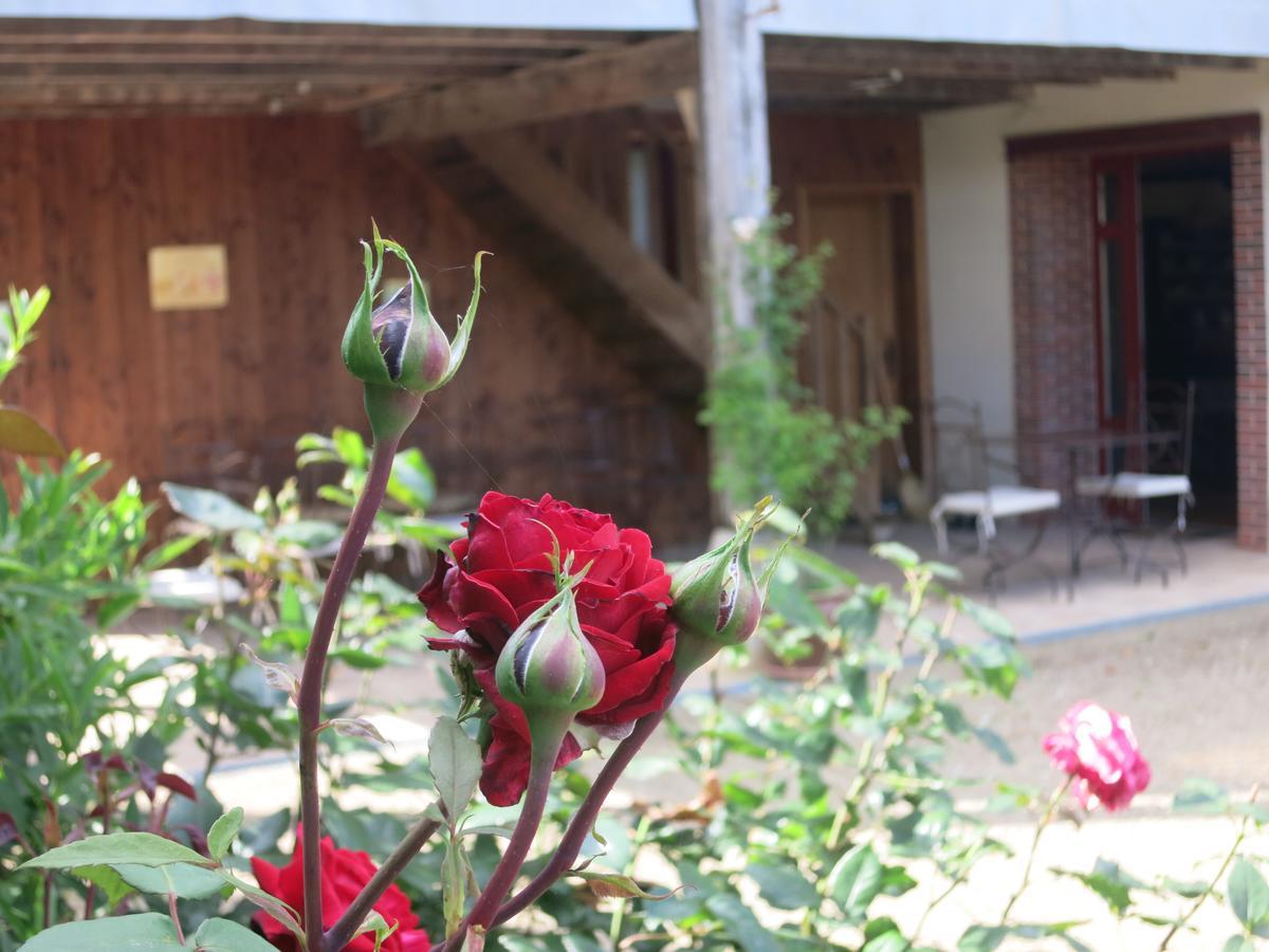 Les Jardins De Lily Hotel Saint-Léonard-de-Noblat Esterno foto
