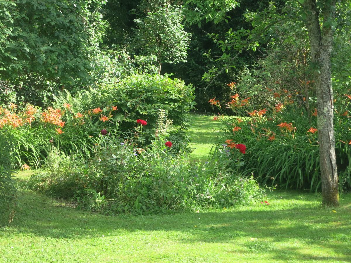 Les Jardins De Lily Hotel Saint-Léonard-de-Noblat Esterno foto